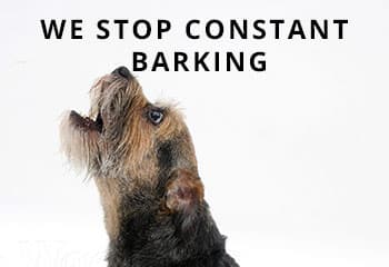border-barking